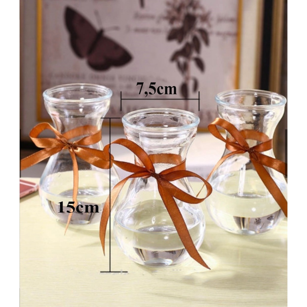 Aquarium ikan cupang hias