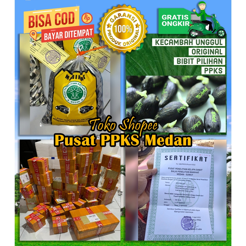 PPKS DxP Marihat Unggul Sudah Dapat SERTIFIKAT