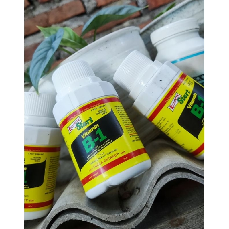 liquinox b1 kuning baru