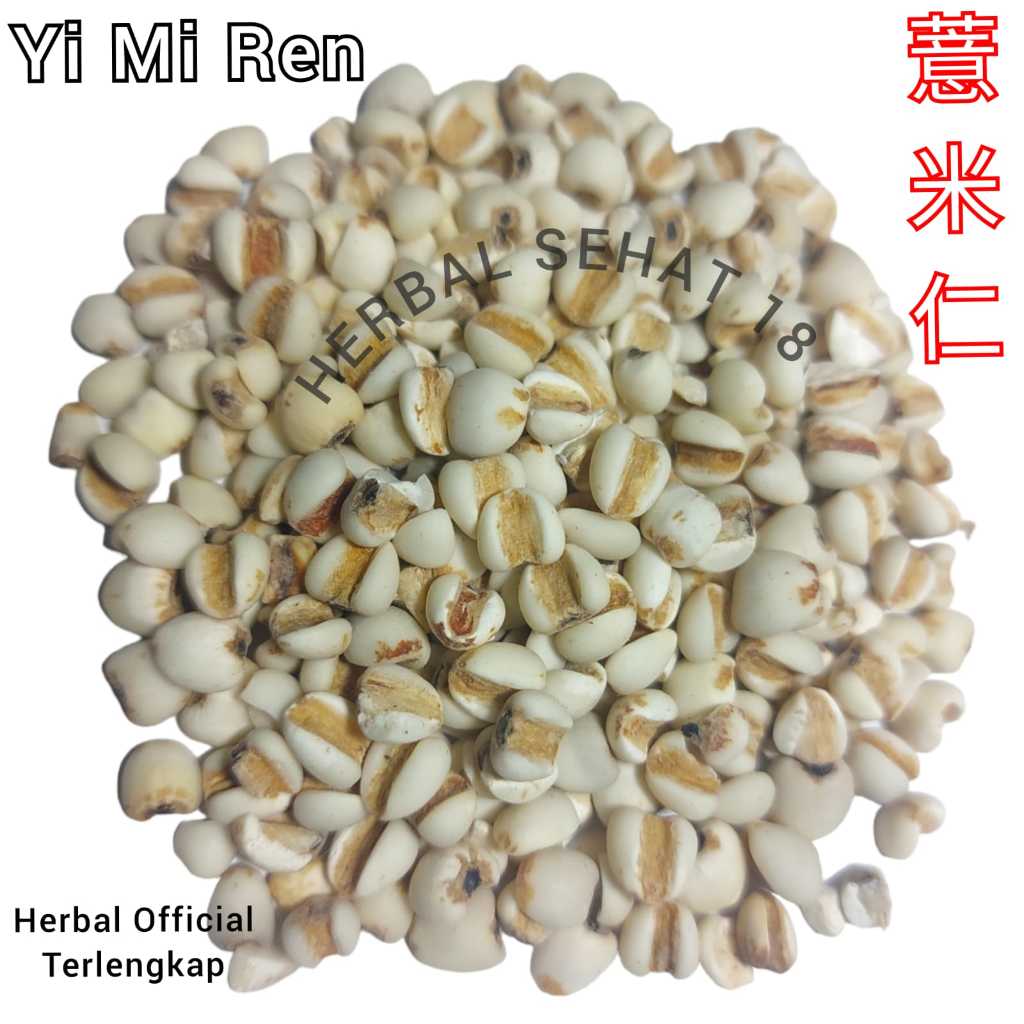 

50 gram - Yi Mi Ren 薏米仁 Jali Jali China Super - Barley Super - Premium - I Bi - Ie Mie