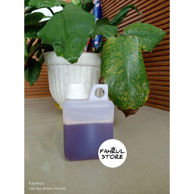 

MADU MULTIFLORA ASLI 100% KEMASAN ½ KG