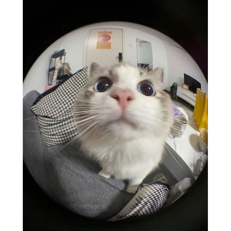 

{JOEMA}TAMBAHAN PACKING!!