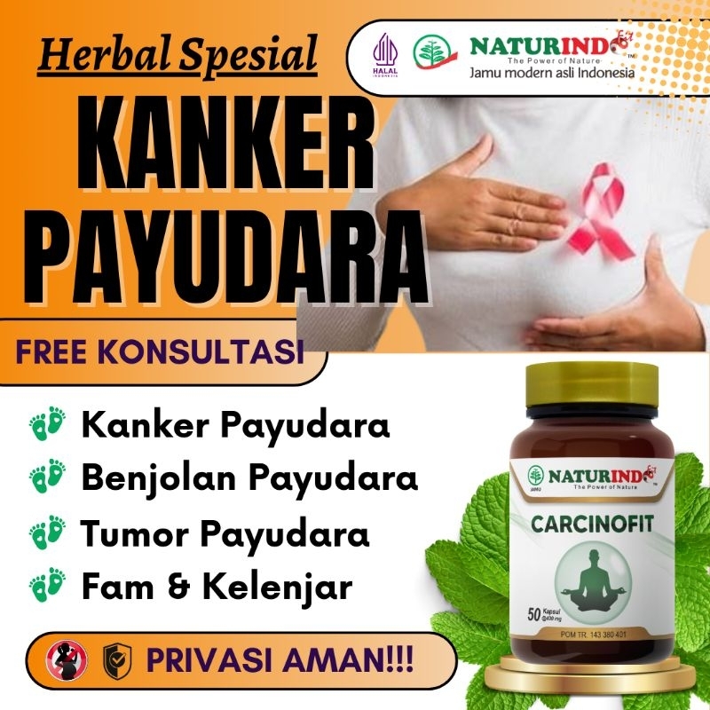 Obat Kanker Payudara Tumor Rahim Serviks Tumor Otak Otak Kanker Herbal Alami Carcinofit Naturindo.