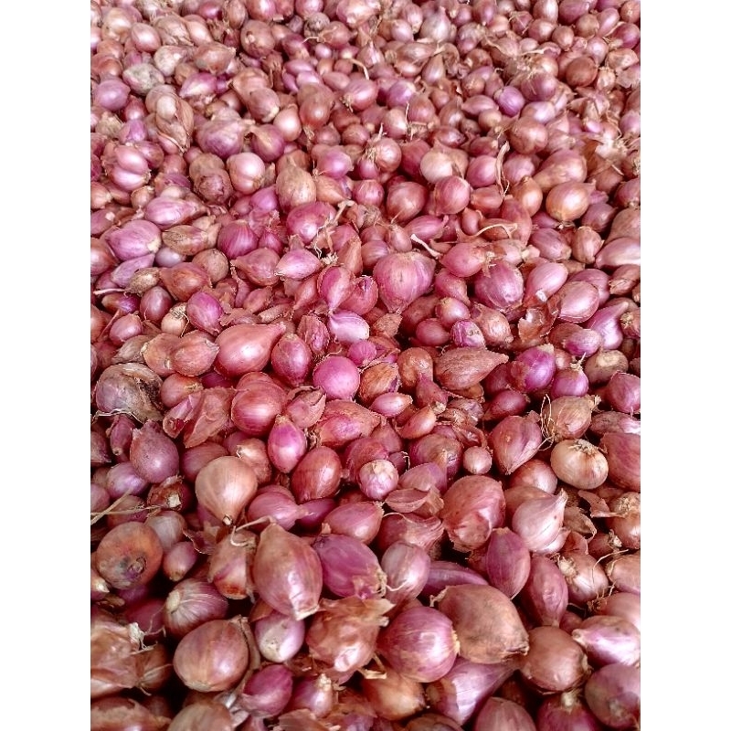

Bawang merah Probolinggo merah Kering murahh 1/2 Kg