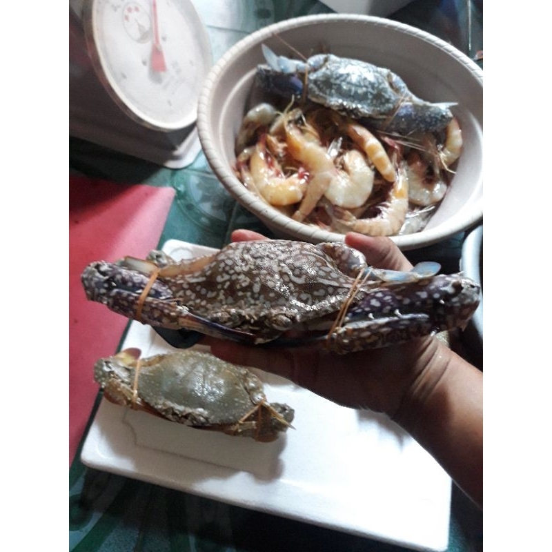 Rajungan Segar Besar