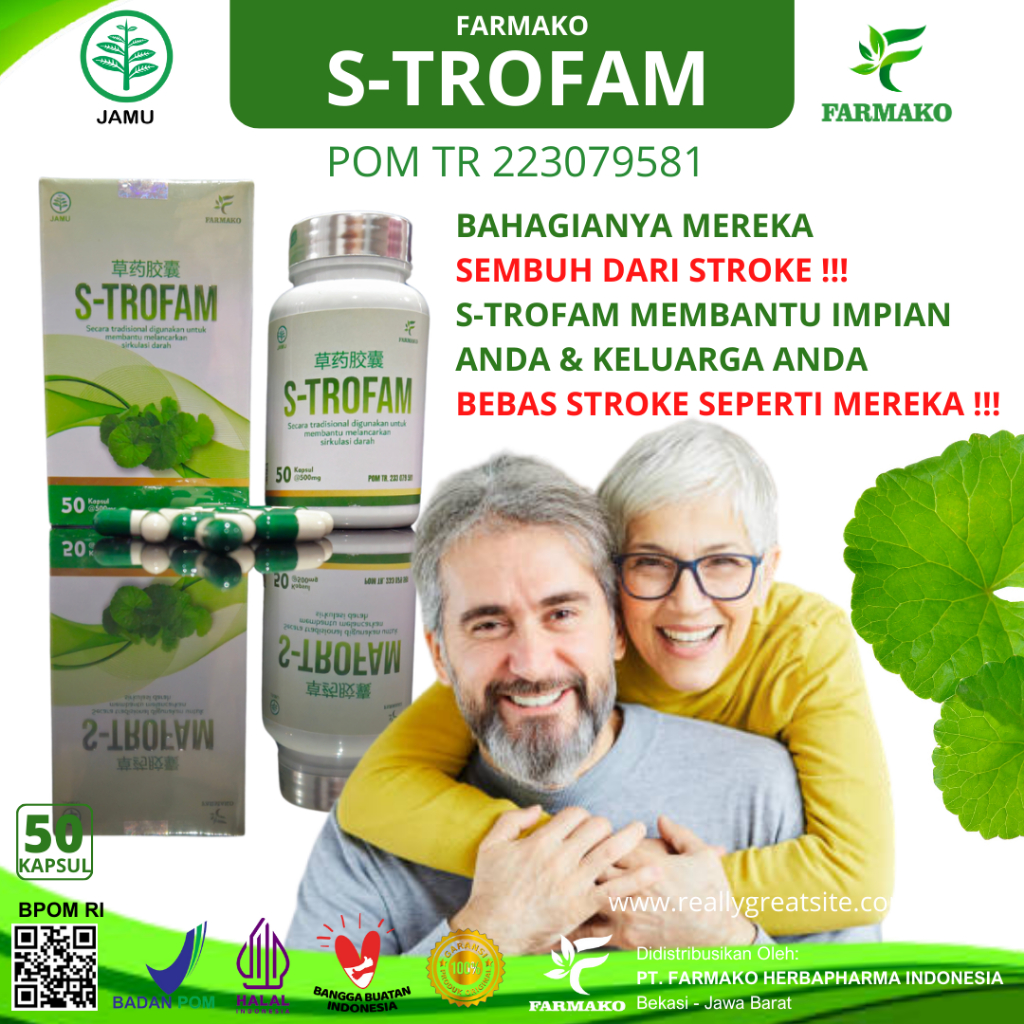 Obat Stroke Paling Ampuh, Strofam Obat Struk, Obat Struk Berat, Ringan, Obat Stroke Herbal - Garansi