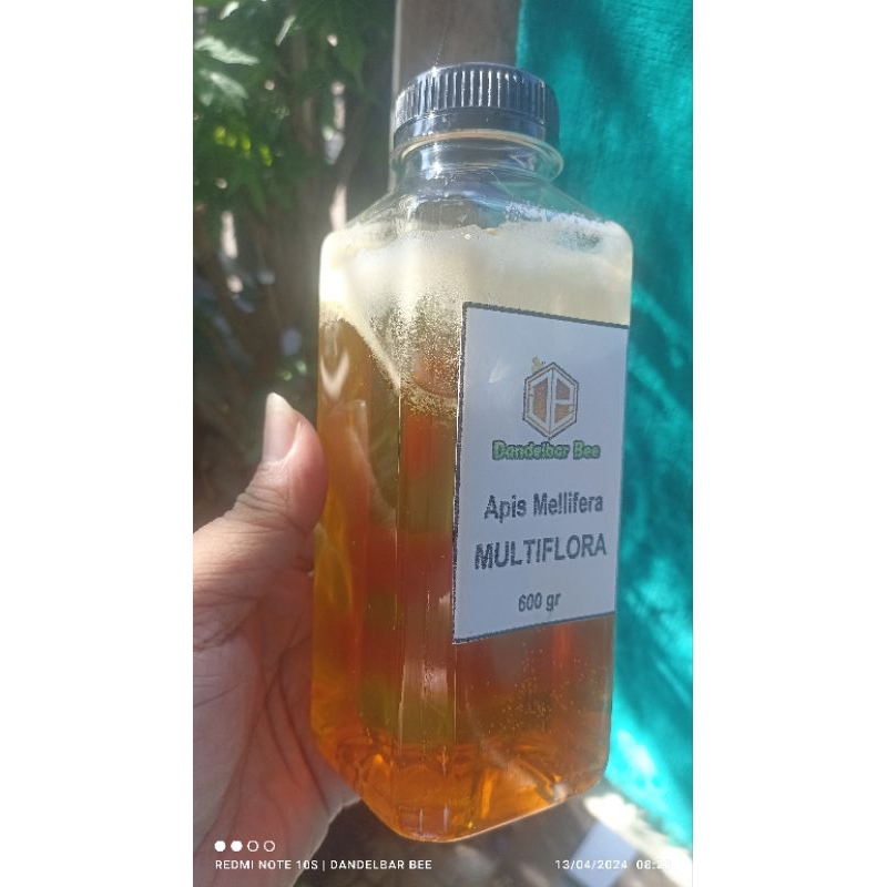 

Madu Murni Multiflora