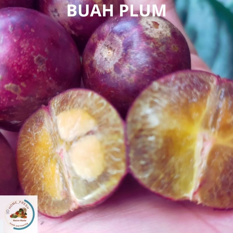 

Buah Plum Merah Segar Tropis