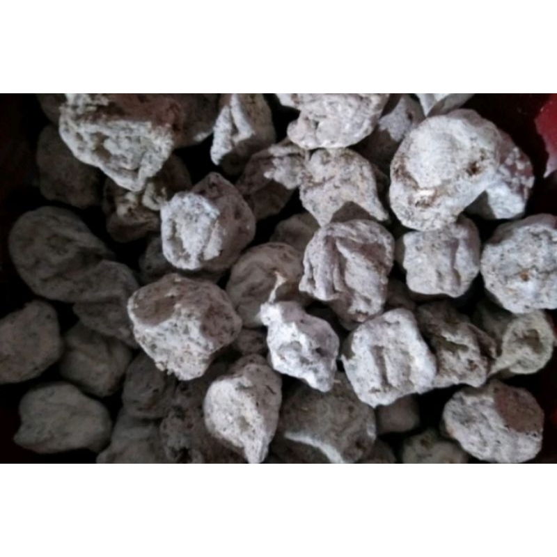 

Buah Kiamboy/Somboi Putih Asem Asin Manis