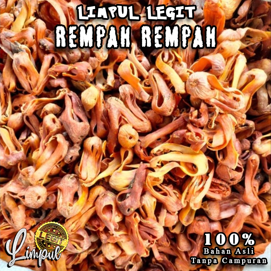 

Forlie Bunga Pala Lonjong Kering 100 gr | Rempah Original | Limpul Legit Rempah Rempah