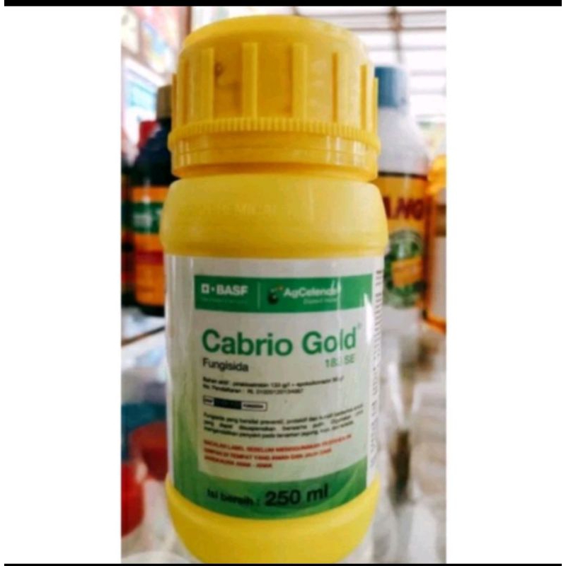 CABRIO GOLD 250ML