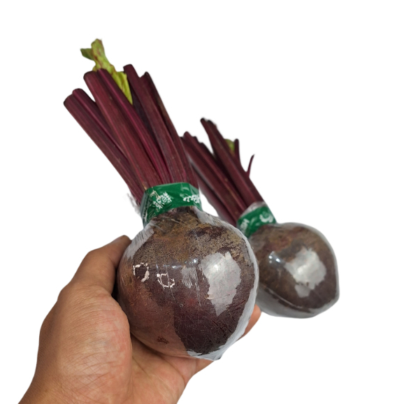 

BEETROOT UKURAN MINI (PROMO)
