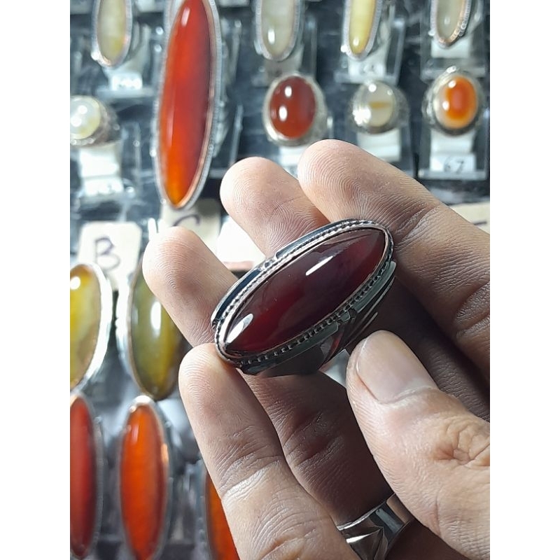 pandan merah jamblang