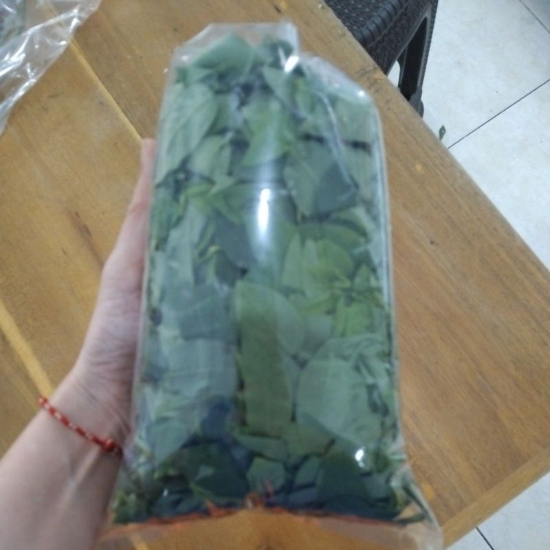 

Sayur katuk petik