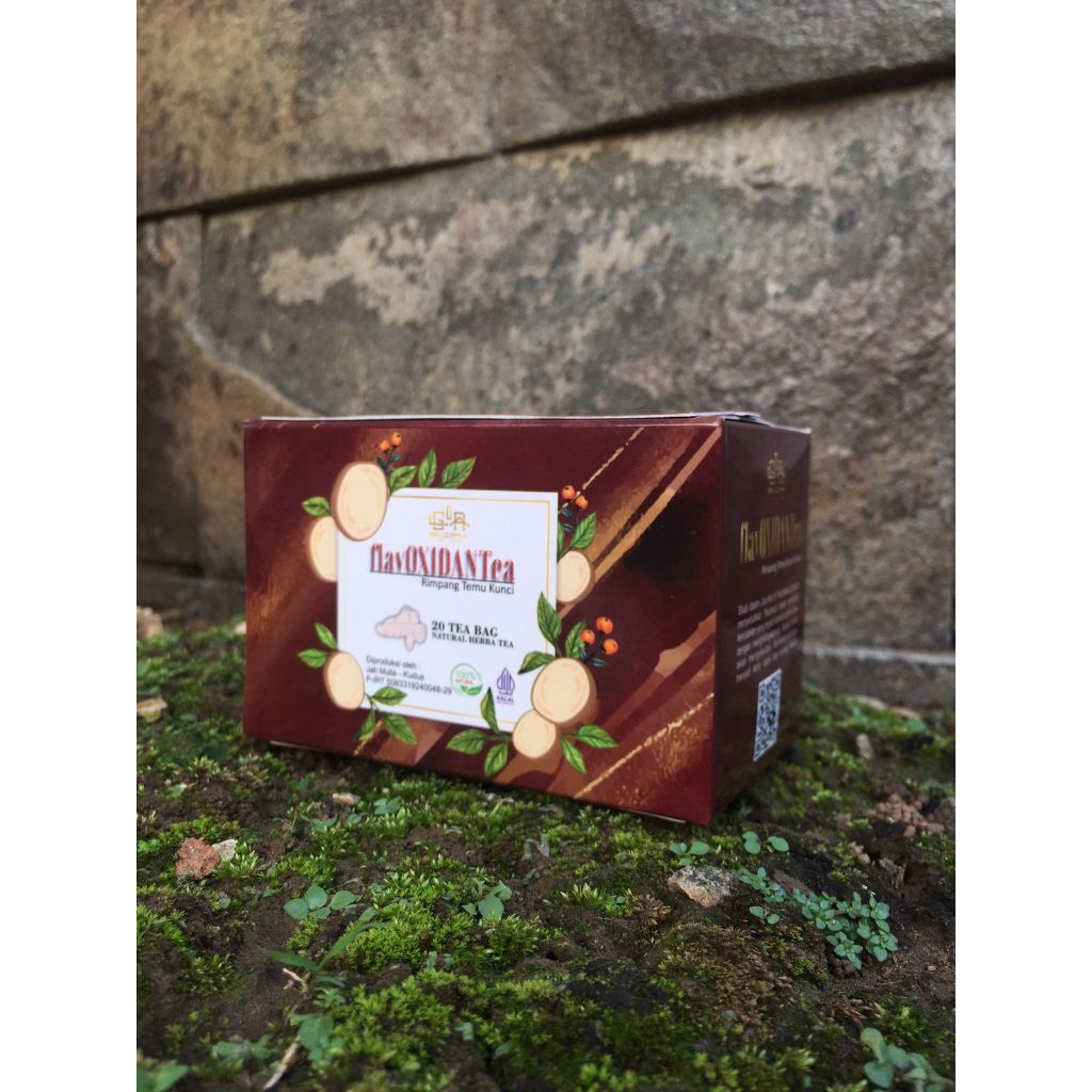 

Teh Herbal Rimpang Temu Kunci