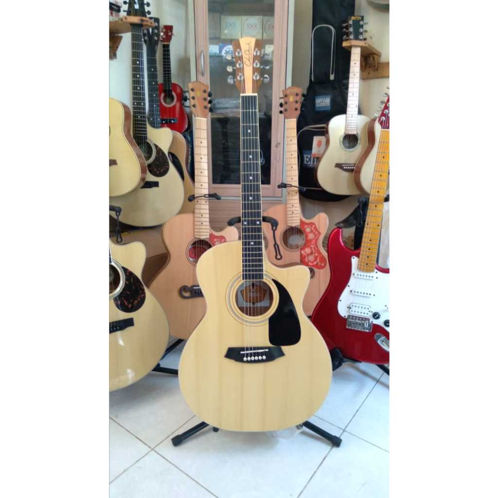 NATURAL COLE CLARK ANGLE  ACOUSTIC CUSTOM
