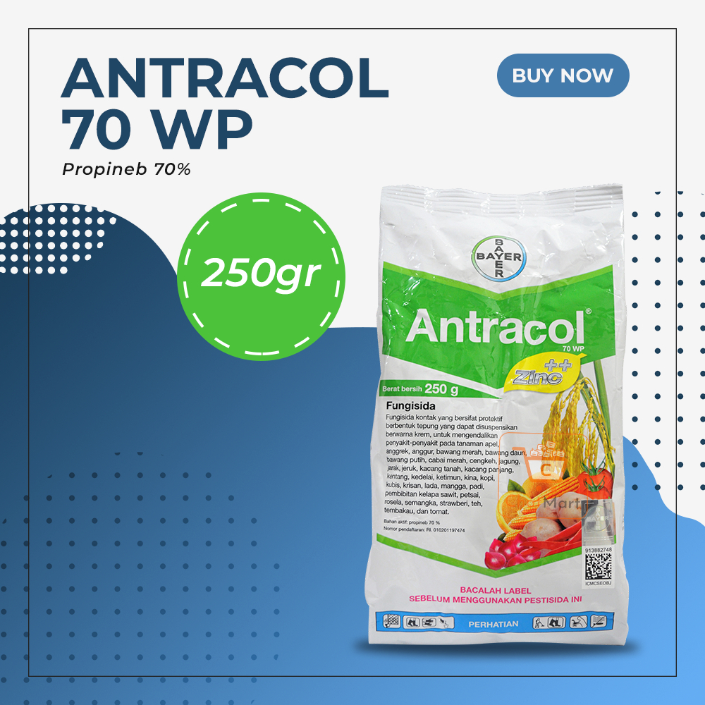 Antracol 70 WP 250 gram