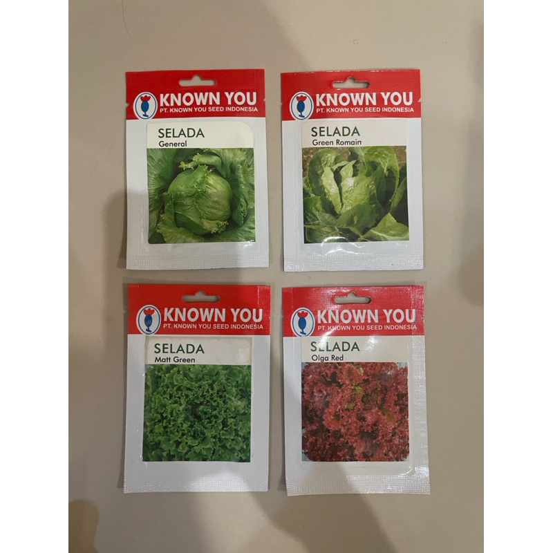 Known You Seed Selada Bibit
