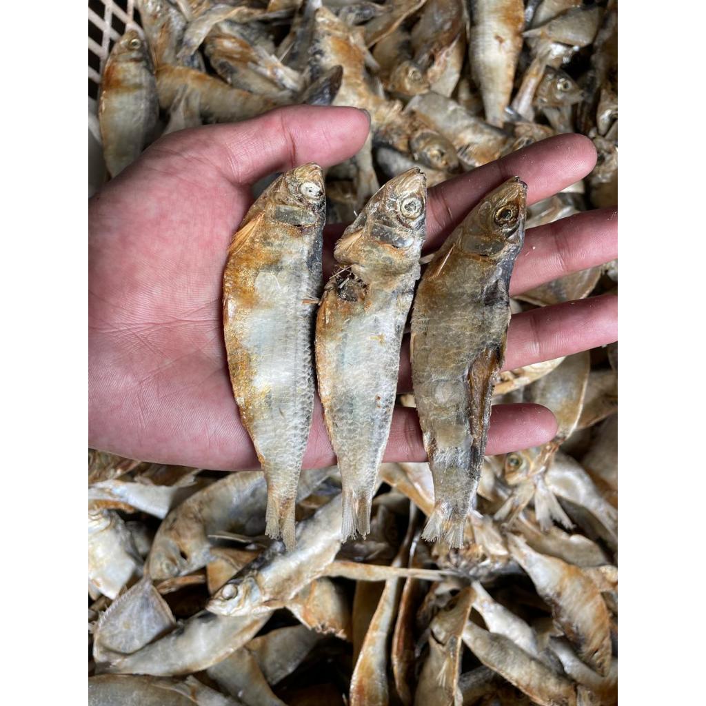 

Ikan Asin Jui Khas Lamongan Asli Tanpa Bahan Pengawet 100 gram