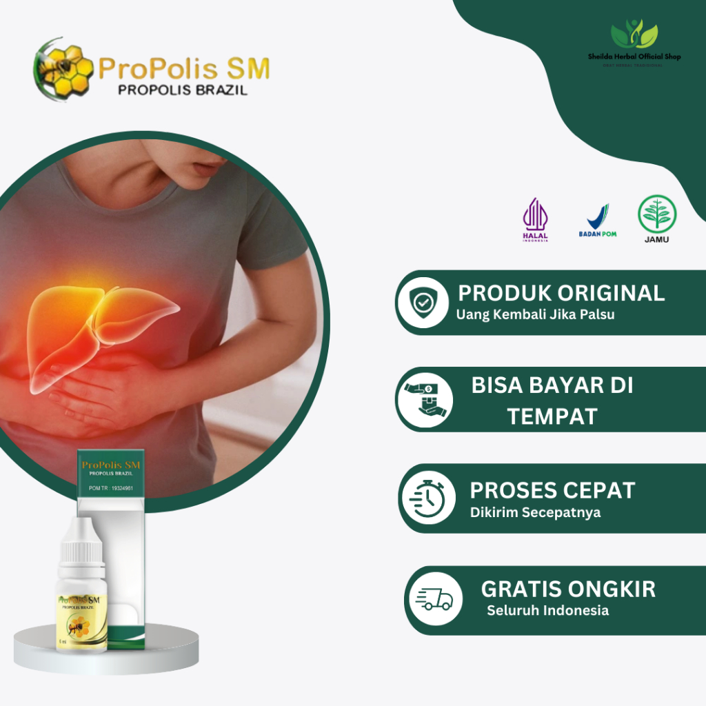 Obat Liver Perut Bengkak, Gangguan Liver, Hepatitis, Liver Kronis Dang Ringan, Perut Bengkak Karena 