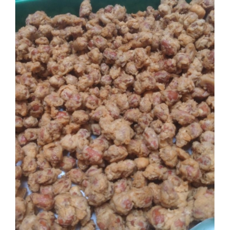 

kacang kribo