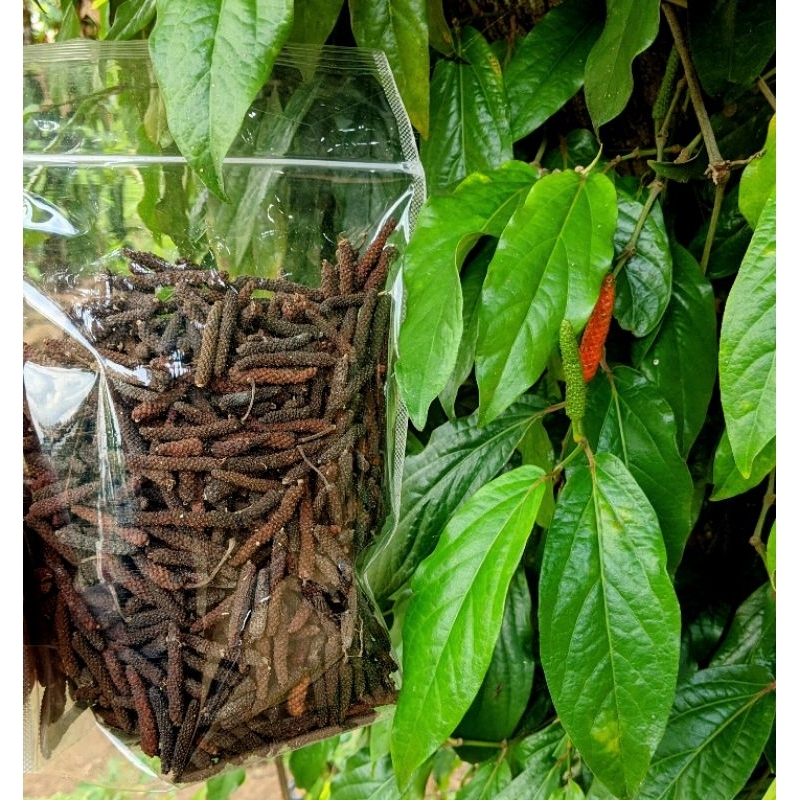 

50gr Cabe Jawa / Cabe Jamu / Cabe Puyang - kering bersih Grade A