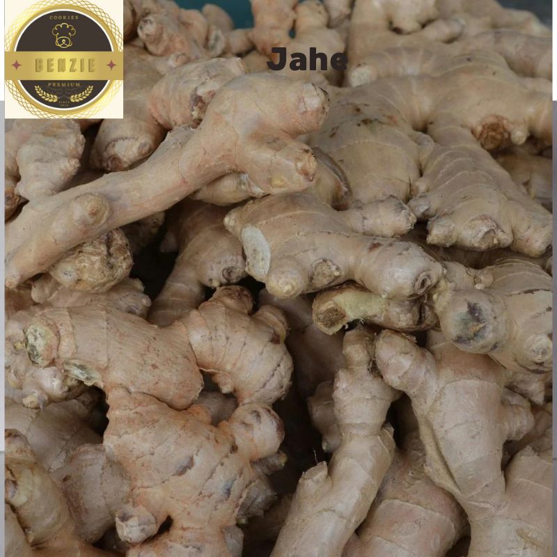 

Jahe putih segar 1kg Jahe emprit