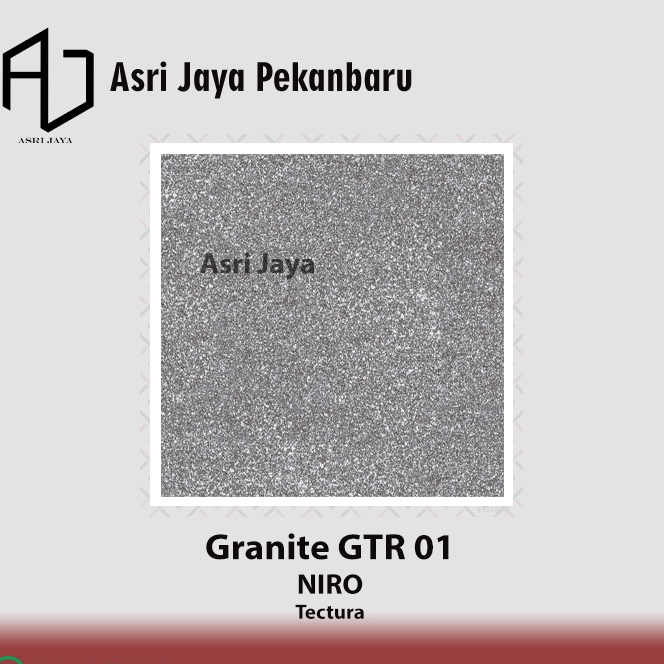 Niro Granite 60x60 Tectura - GTR01 Grigio
