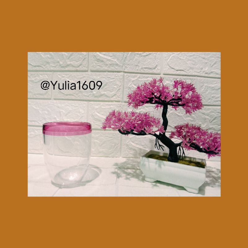 Allegra Steamless Glass Tupperware