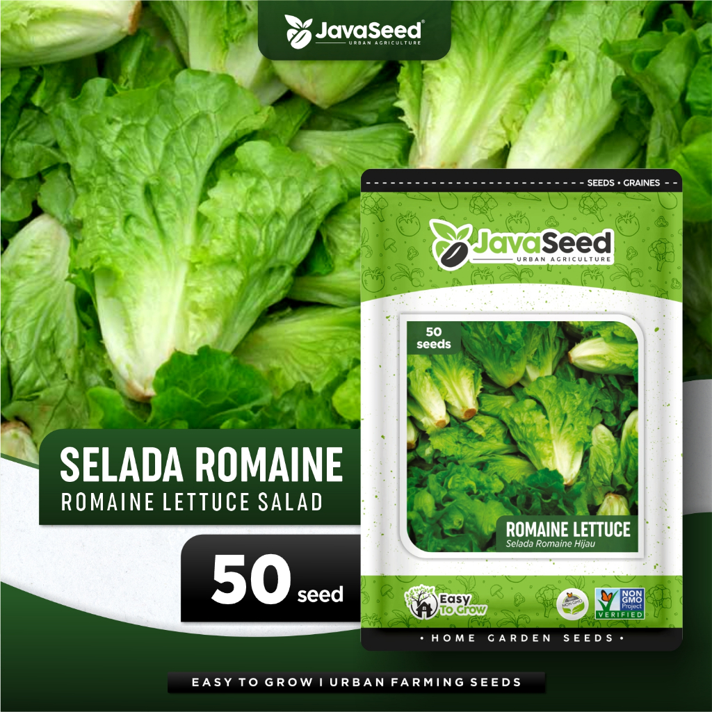 JAVASEED - Benih Selada Romaine Hijau Green Romaine Lettuce 50 Benih