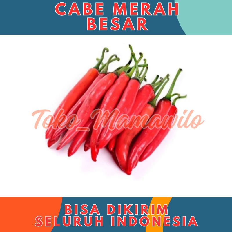 

Cabe Merah Besar Lombok Fresh Cabai Segar Kiloan Murah 1/2 kg 500gr 500 gr gram - Aneka Bumbu Dapur Sayur Sayuran