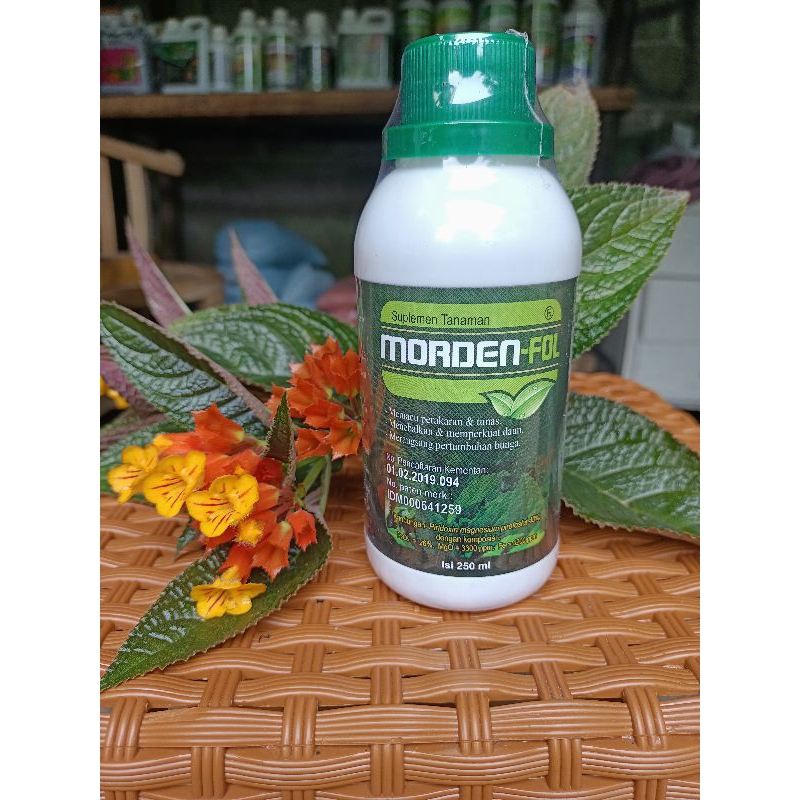MORDEN-FOLL 250ml
