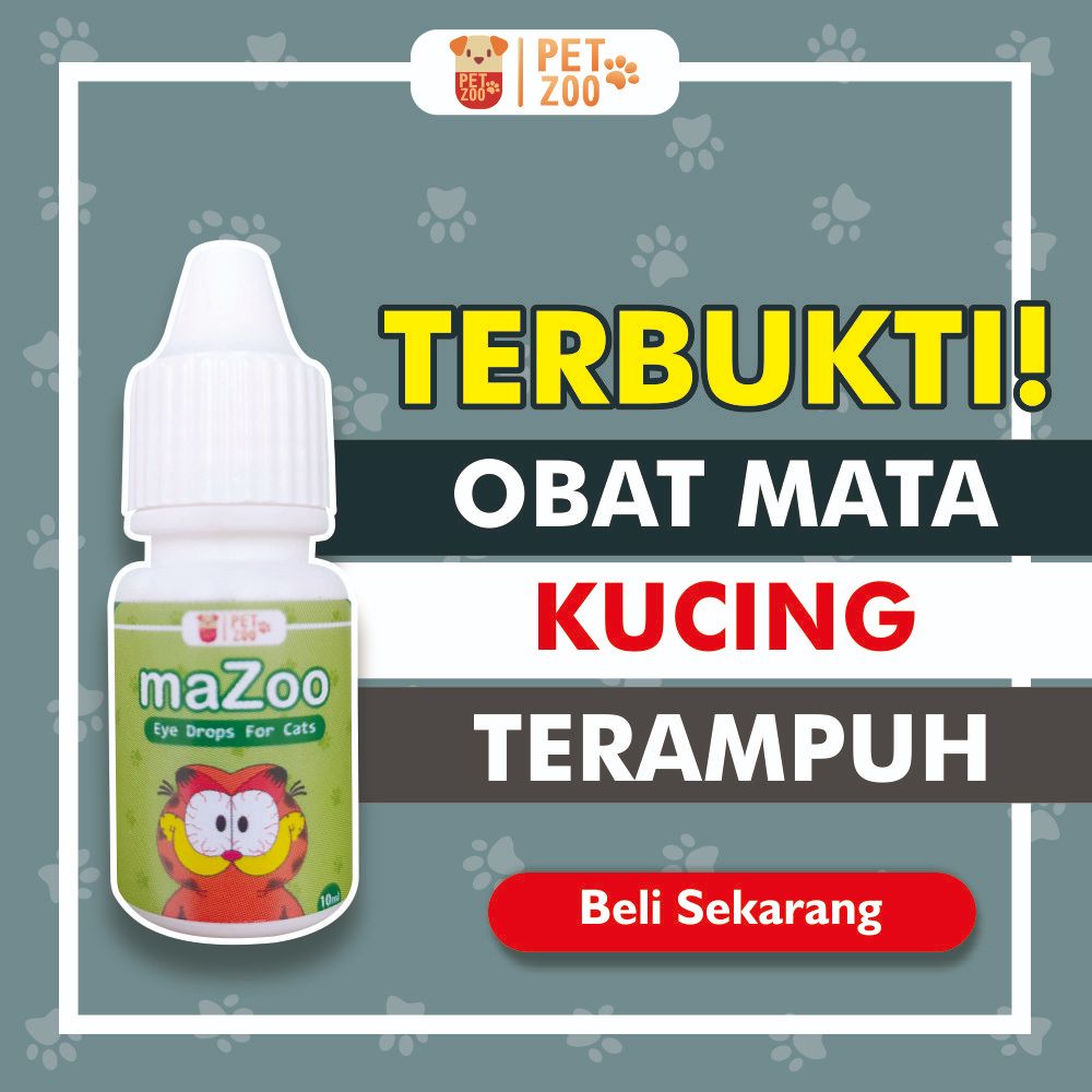 Obat Mata Kucing Paling Ampuh Berair Belekan Bengkak dan Menonjol Bernanah Berair Selaput Putih Trix