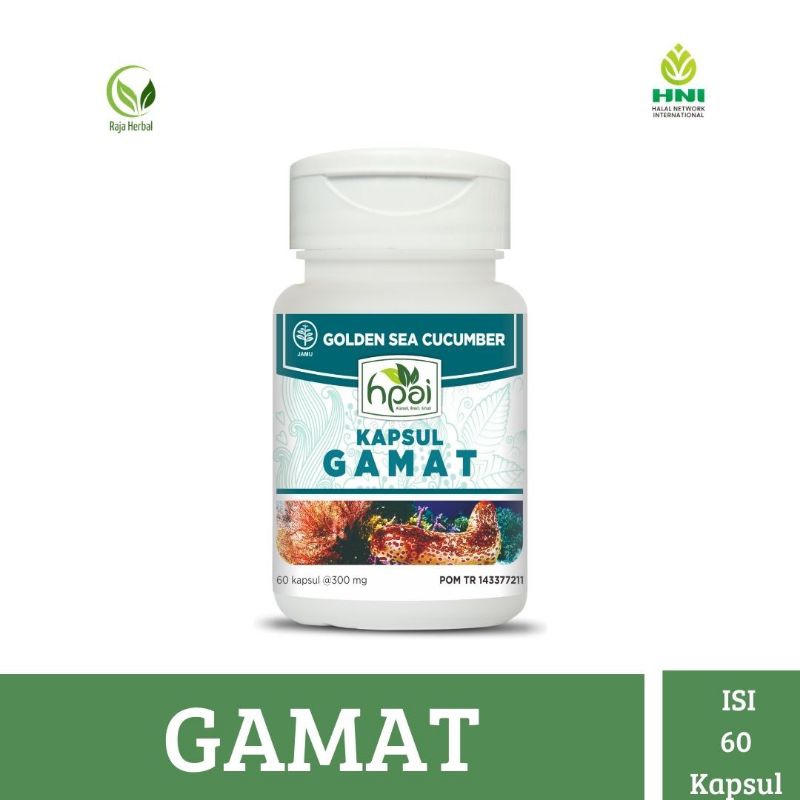 Gamat Kapsul HNI HPAI Mengatasi Sakit Pinggang Suplemen Tulang dan Sendi