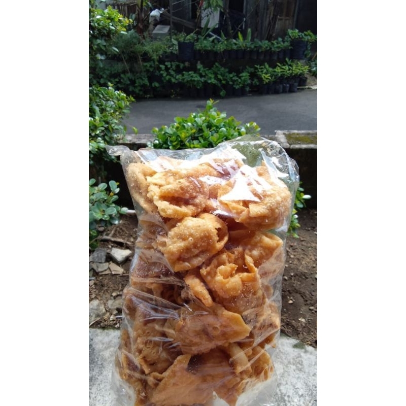 

Pangsit goreng 250 gram