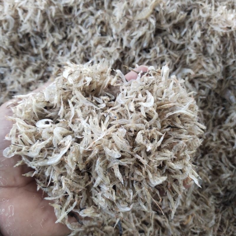 

Udang Rebon kering Tawar 500 gram