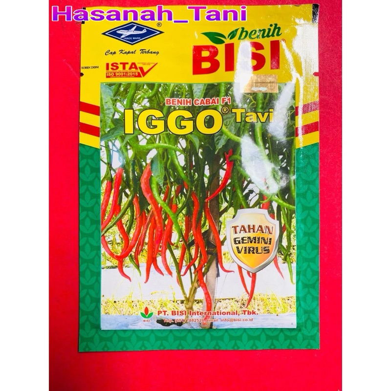 Benih Bibit CABE keriting IGGO TAVI F1 10 gram