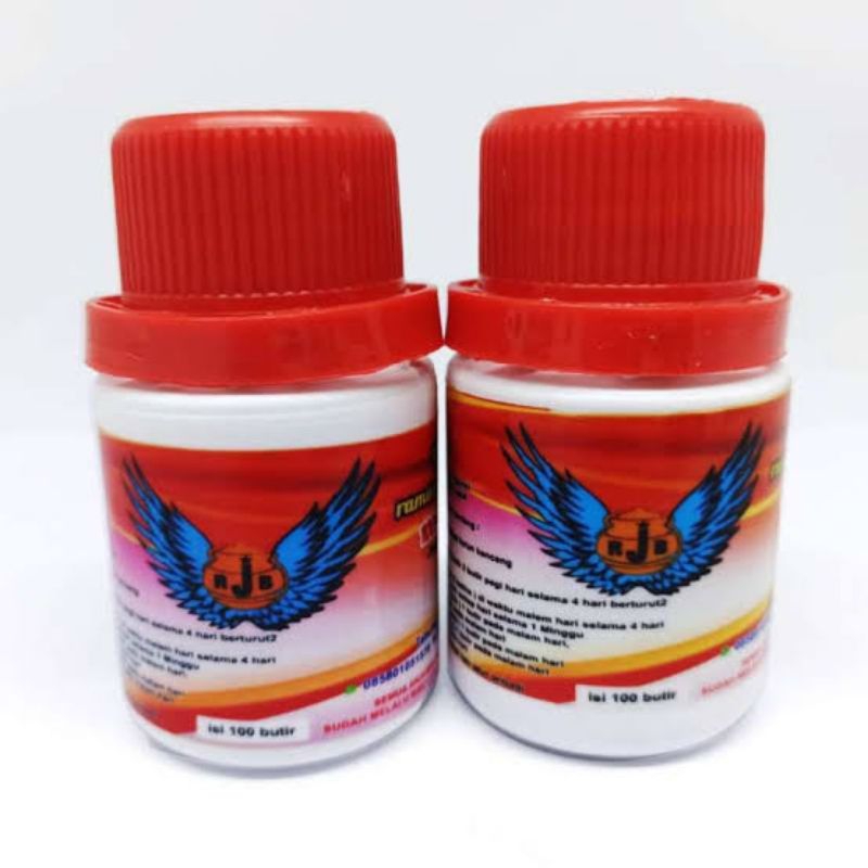 jamu merpati RJB