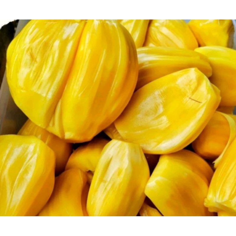 

nangka kupas 1 pack