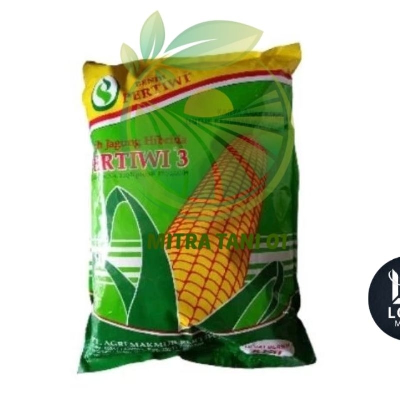 Benih Jagung hibrida Pertiwi 3 kemasan 5 kg