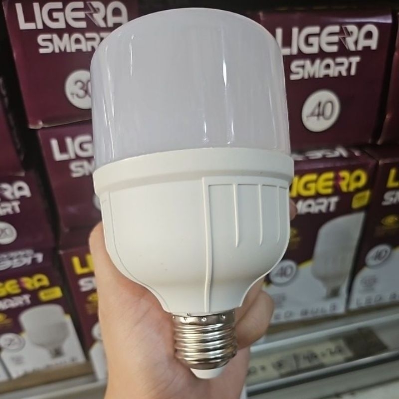 lampu led 30 watt