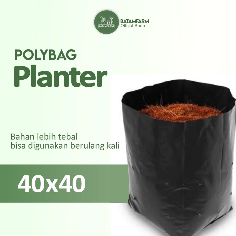 Polibag / Polybag 40cm x 40 cm