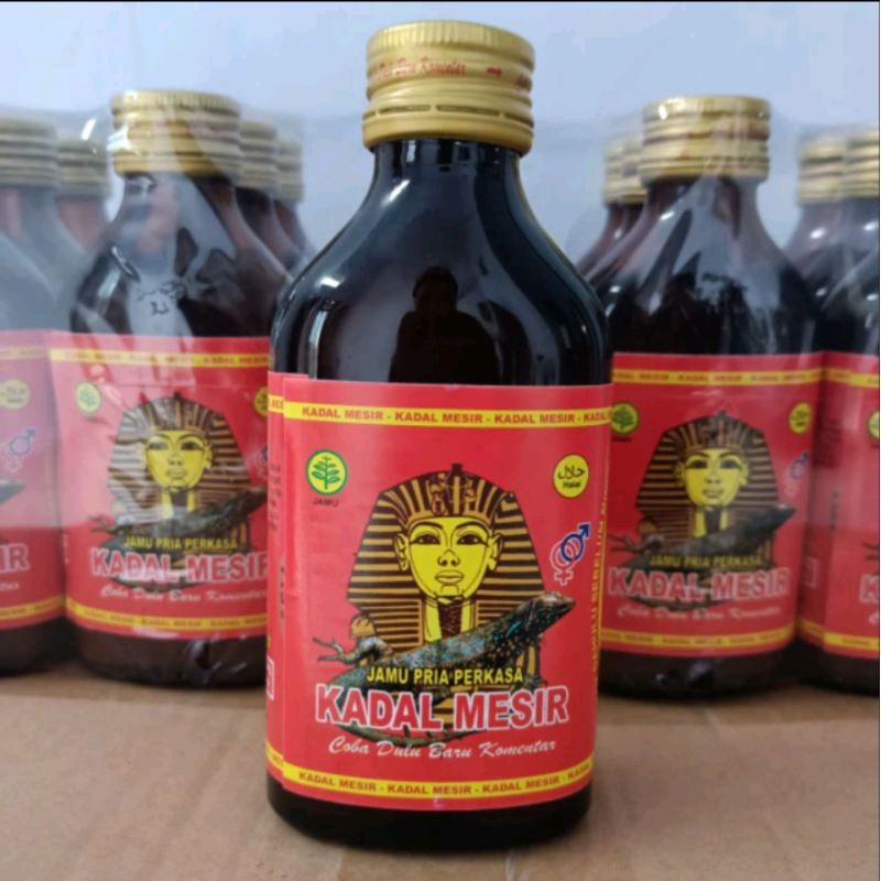 

jamu kadal mesir besar asli kuat pria