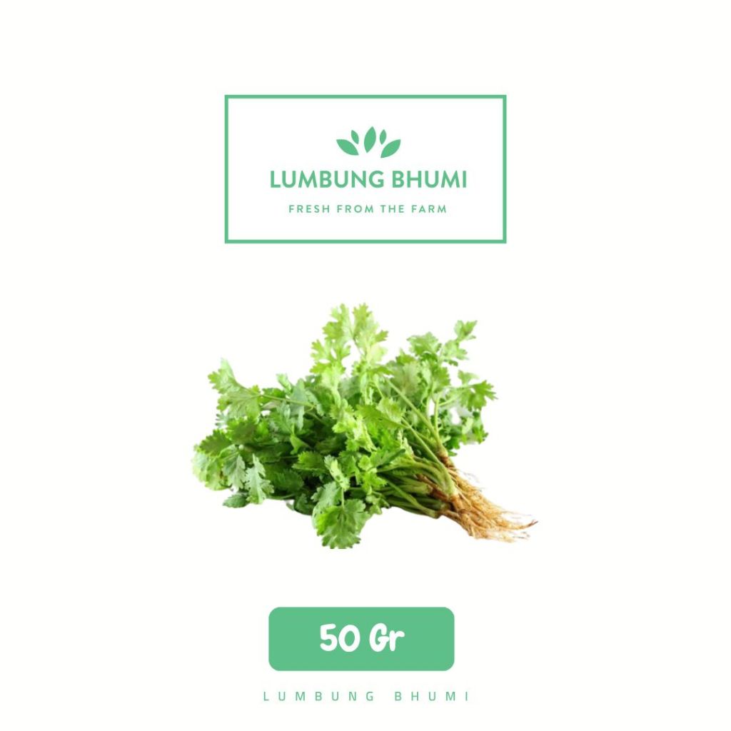 

Daun Ketumbar Wansui Sayur 50 Gr - Lumbung Bhumi