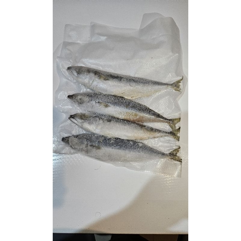 

Ikan Makarel / Ikan Salem / Ikan Sarden Frozen