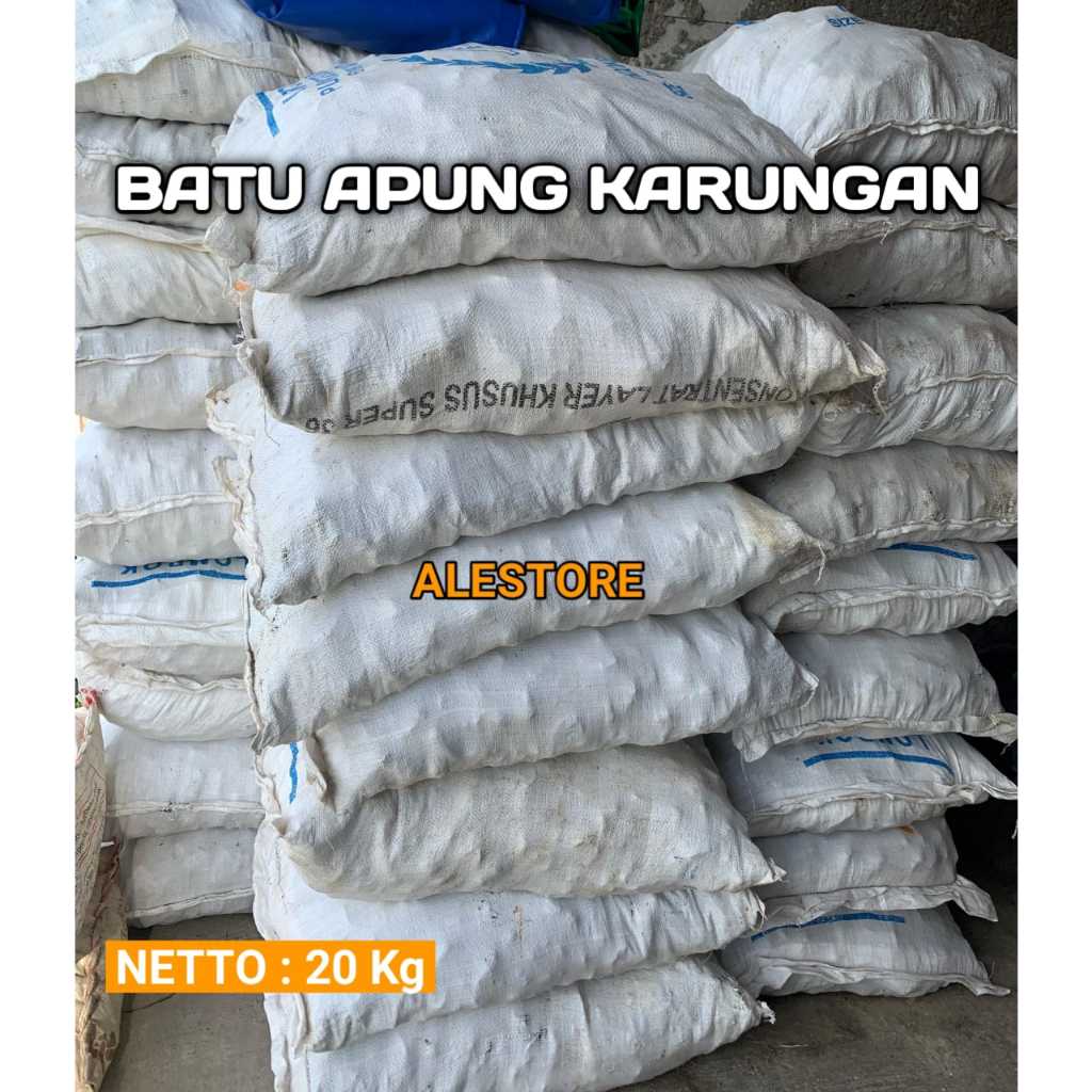 BATU APUNG KARUNGAN ISI 20KG MEDIA FILTER KOLAM KOI