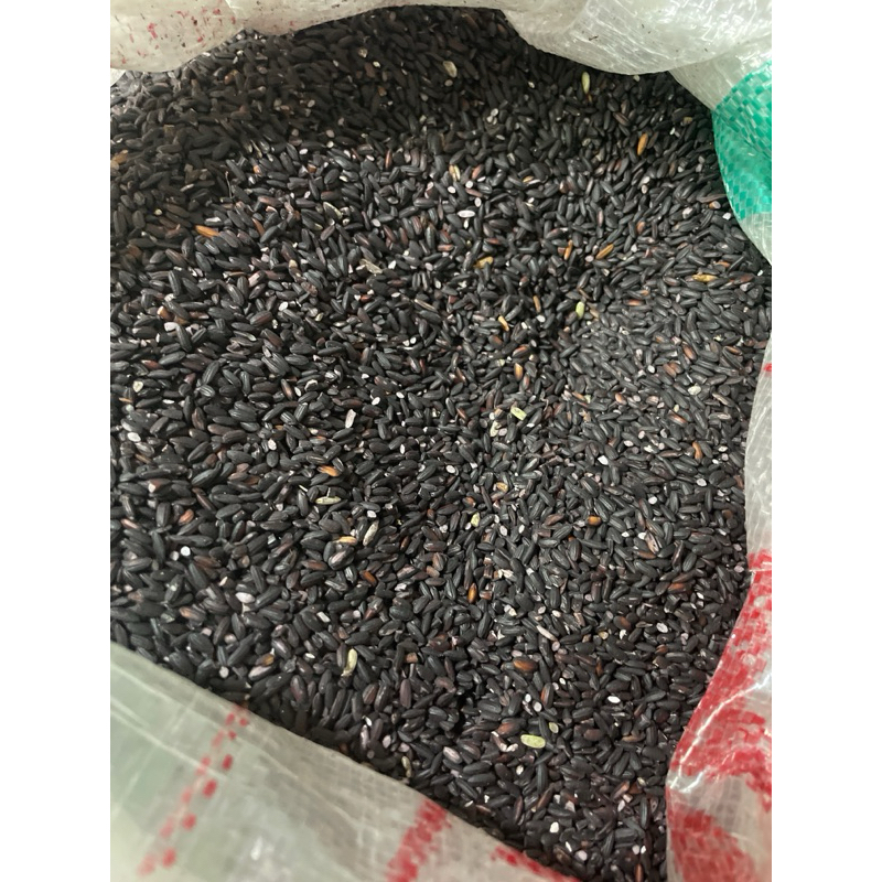 

KETAN HITAM