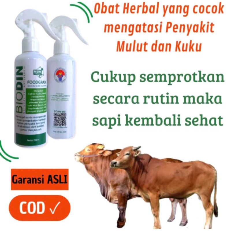 BIODIN SPRAY