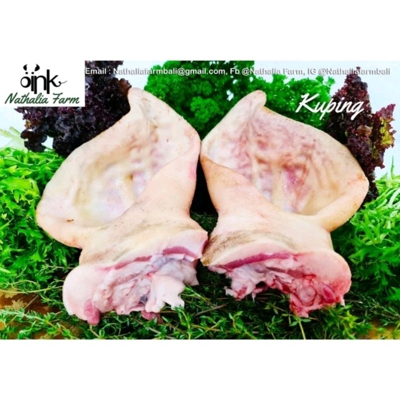 

Kuping babi organik telinga pork