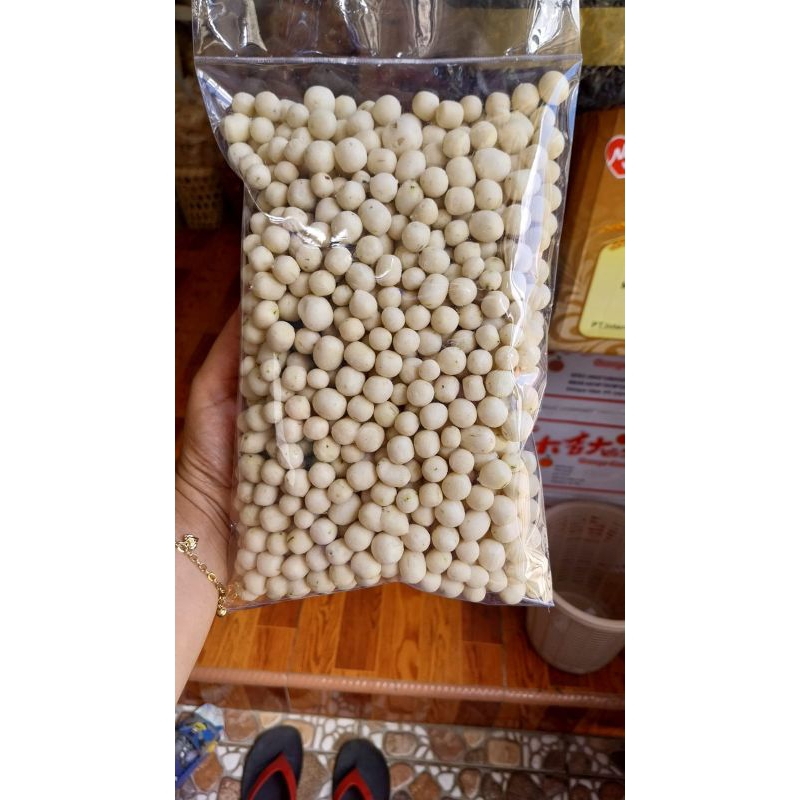 

Pilus Cikur